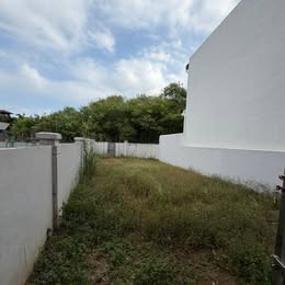 Large backyard