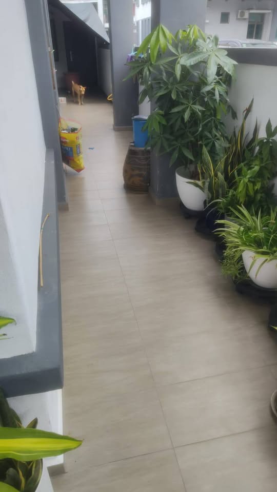 Tiled side walkway