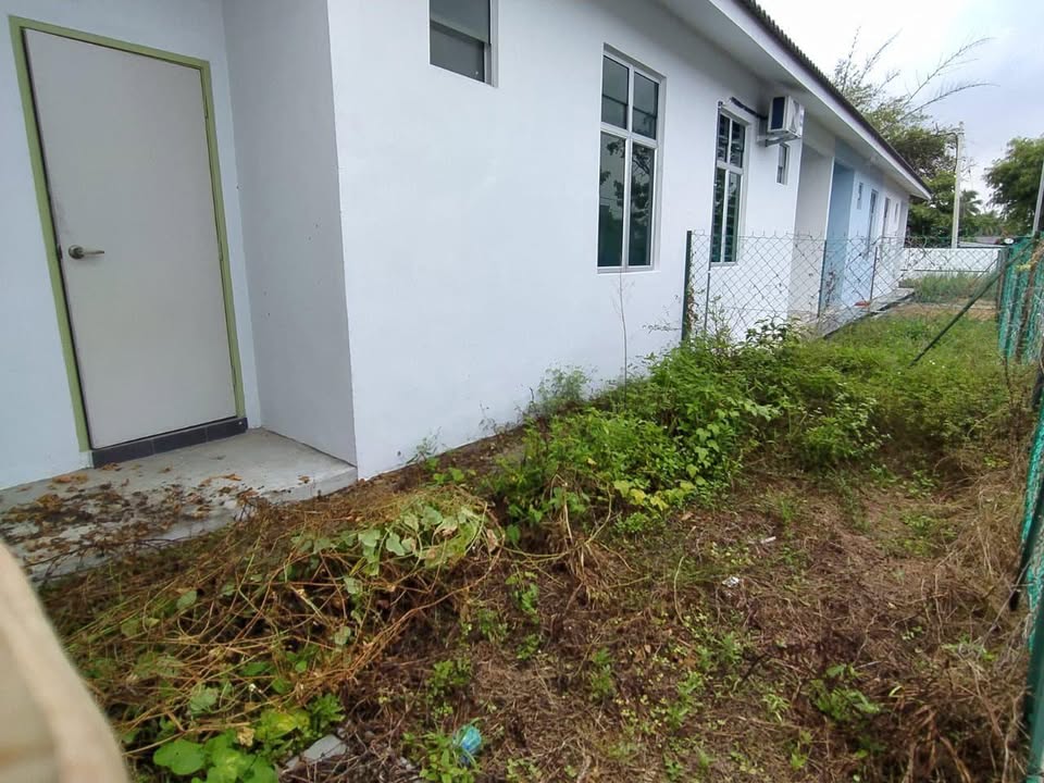Side yard